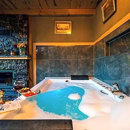 酒店 Antik River House 3*